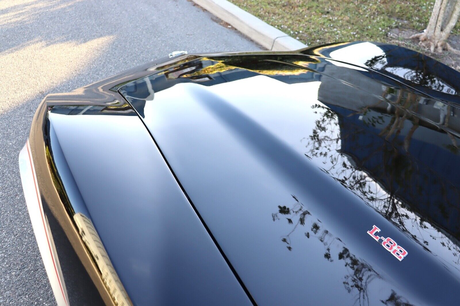 Chevrolet-Corvette-Coupe-1978-5