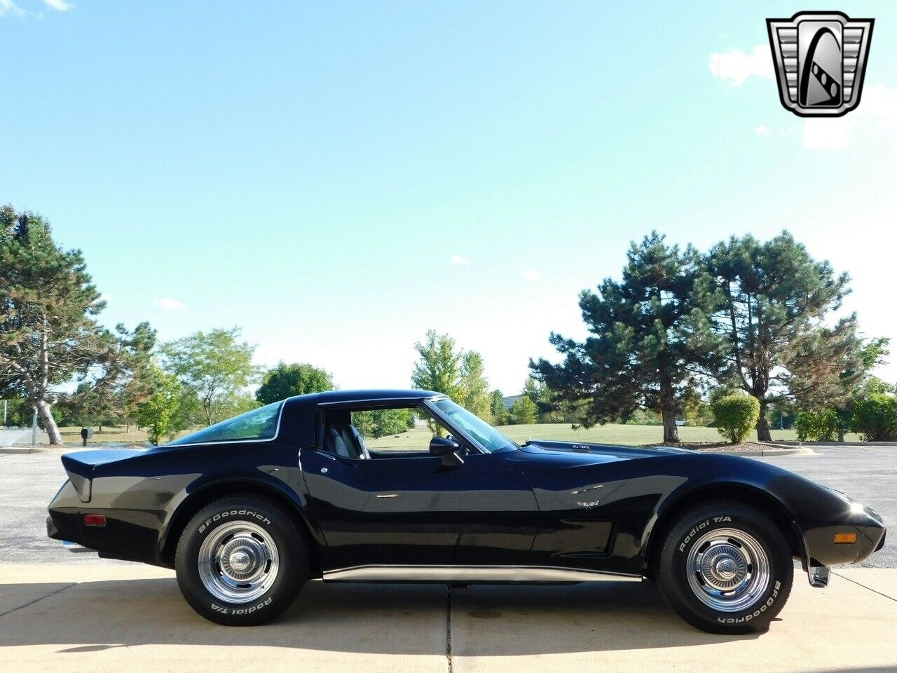 Chevrolet-Corvette-Coupe-1978-6