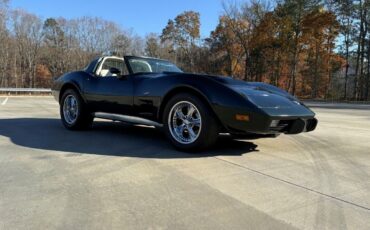 Chevrolet-Corvette-Coupe-1978-6