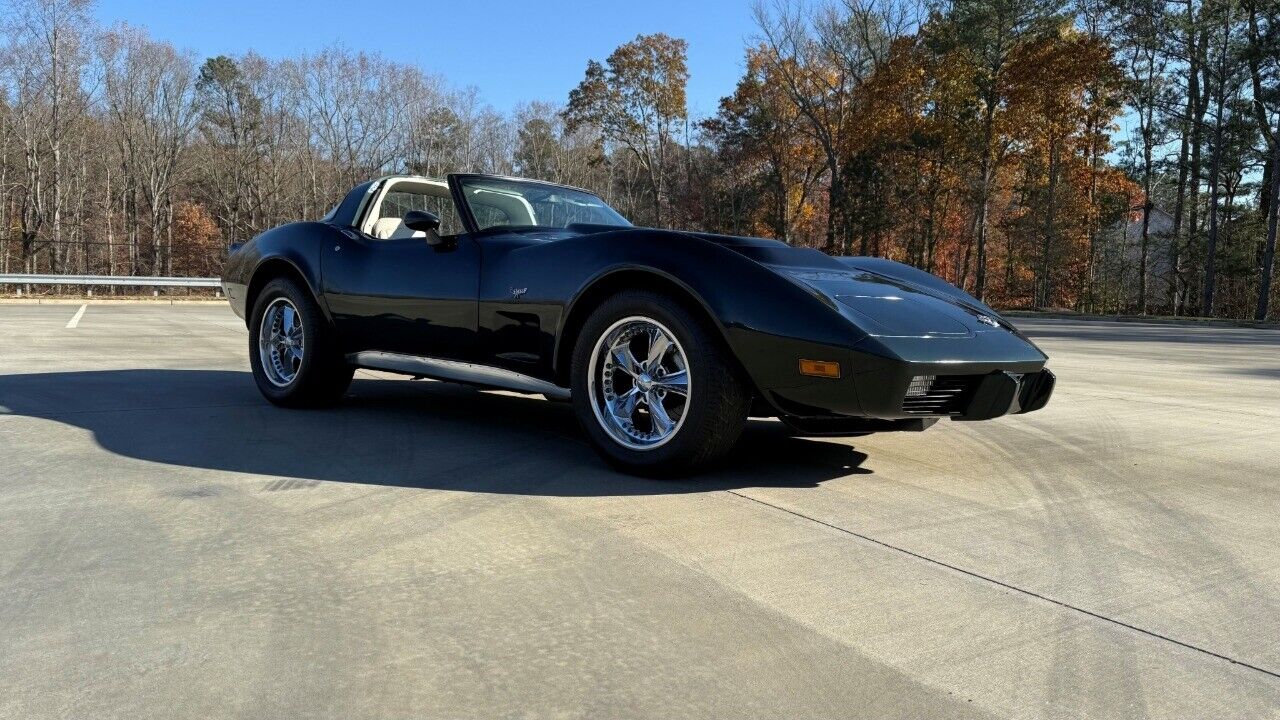 Chevrolet-Corvette-Coupe-1978-6