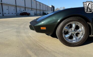 Chevrolet-Corvette-Coupe-1978-8