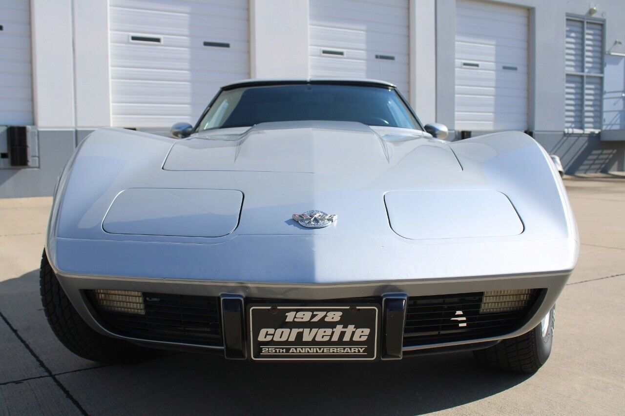 Chevrolet-Corvette-Coupe-1978-8