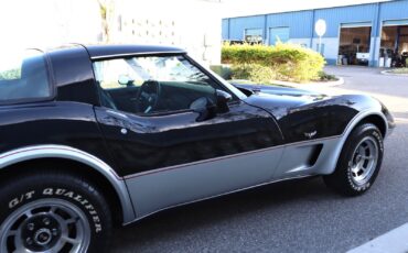 Chevrolet-Corvette-Coupe-1978-9