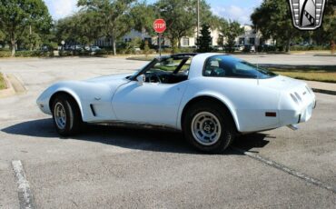 Chevrolet-Corvette-Coupe-1979-10