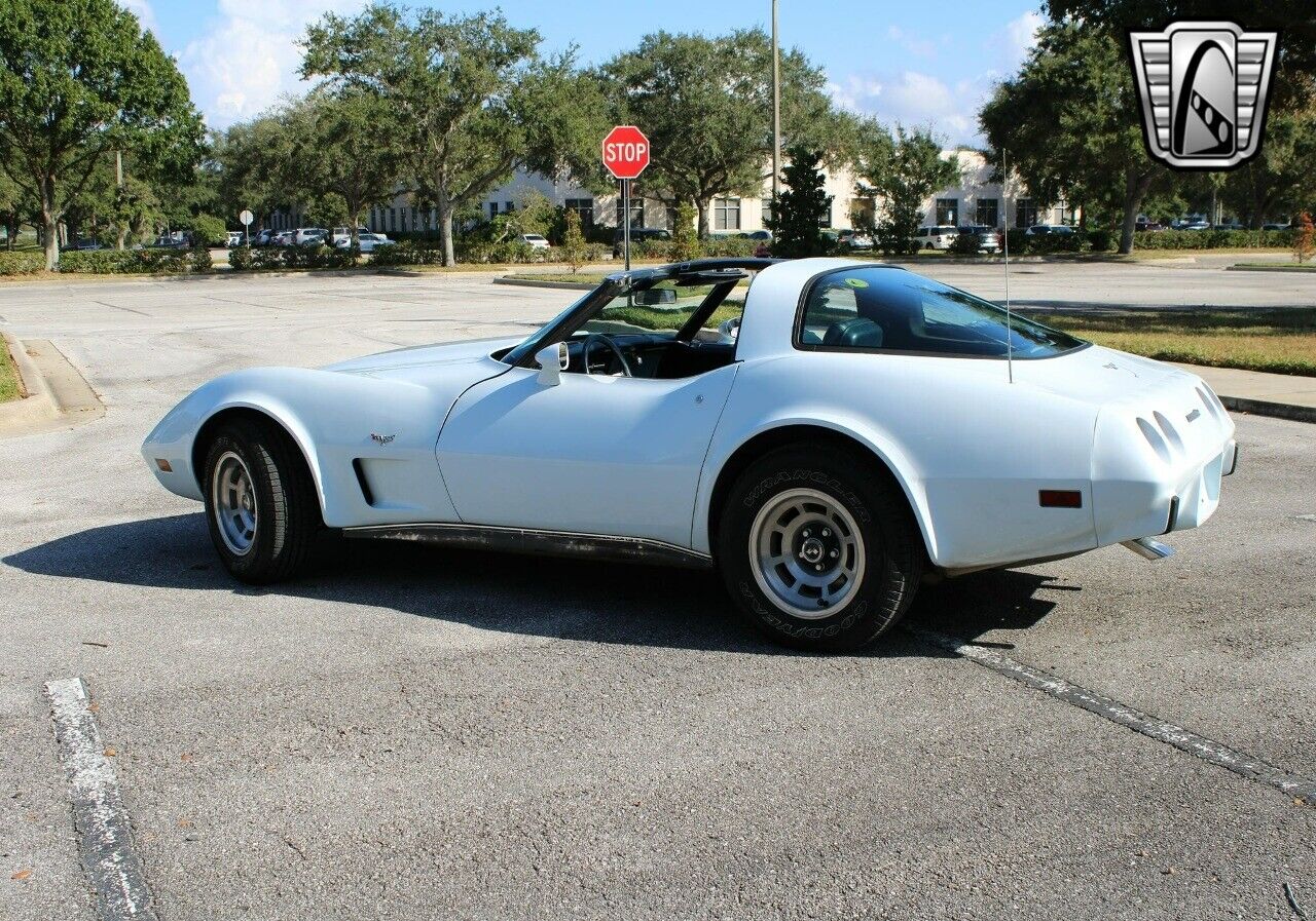 Chevrolet-Corvette-Coupe-1979-10