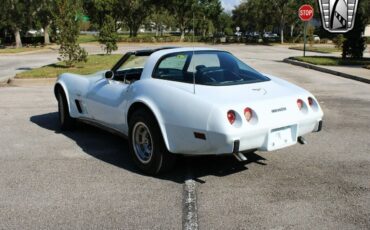 Chevrolet-Corvette-Coupe-1979-11