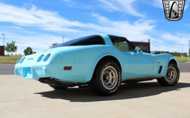 Chevrolet-Corvette-Coupe-1979-6