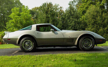 Chevrolet-Corvette-Coupe-1979-7