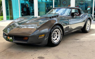 Chevrolet-Corvette-Coupe-1979-8