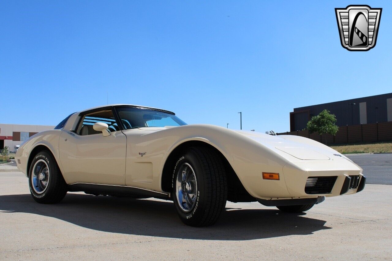 Chevrolet-Corvette-Coupe-1979-8