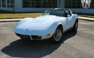 Chevrolet-Corvette-Coupe-1979-9