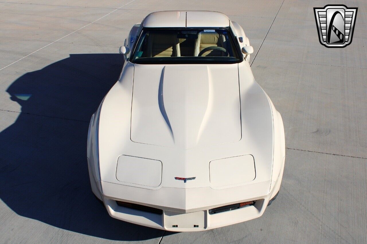 Chevrolet-Corvette-Coupe-1980-10