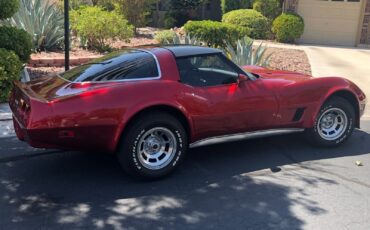 Chevrolet-Corvette-Coupe-1981-1