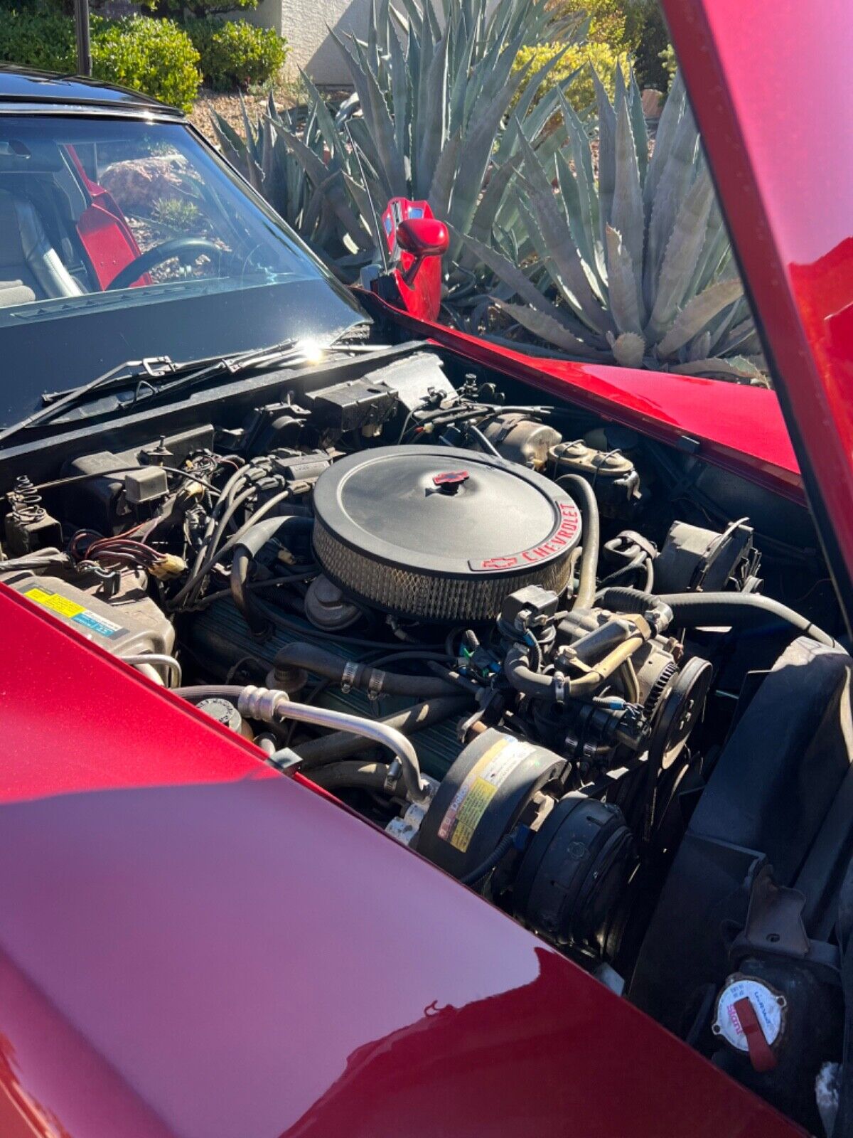 Chevrolet-Corvette-Coupe-1981-14