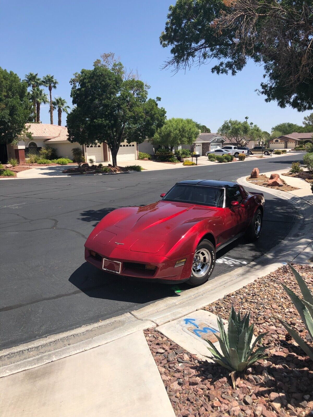 Chevrolet-Corvette-Coupe-1981-2