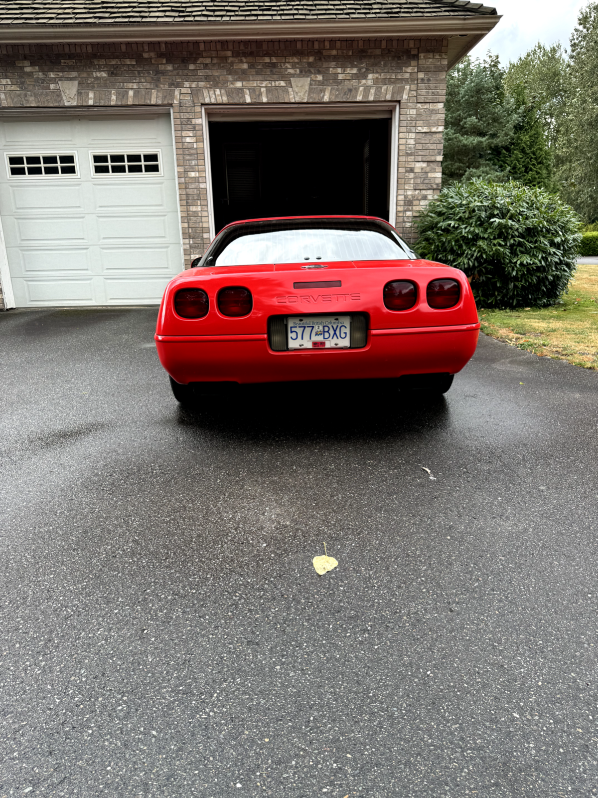 Chevrolet-Corvette-Coupe-1993-4