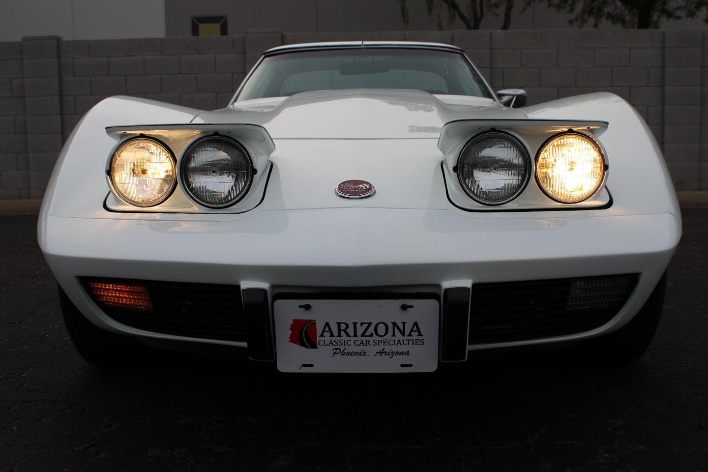 Chevrolet-Corvette-L-48-1975-12