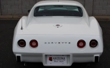 Chevrolet-Corvette-L-48-1975-28