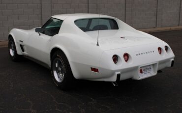 Chevrolet-Corvette-L-48-1975-30