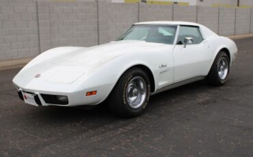 Chevrolet-Corvette-L-48-1975-6