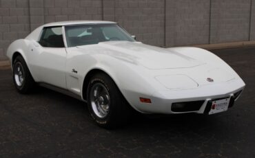 Chevrolet-Corvette-L-48-1975-9