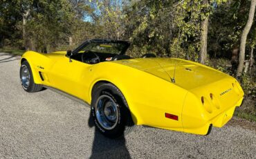 Chevrolet-Corvette-convertible-stingray-1975-2