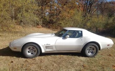 Chevrolet-Corvette-stingray-1974-18