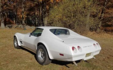 Chevrolet-Corvette-stingray-1974-2