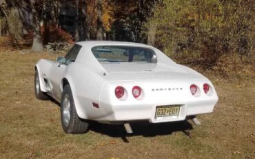 Chevrolet-Corvette-stingray-1974-4