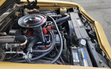 Chevrolet-El-camino-1969-17