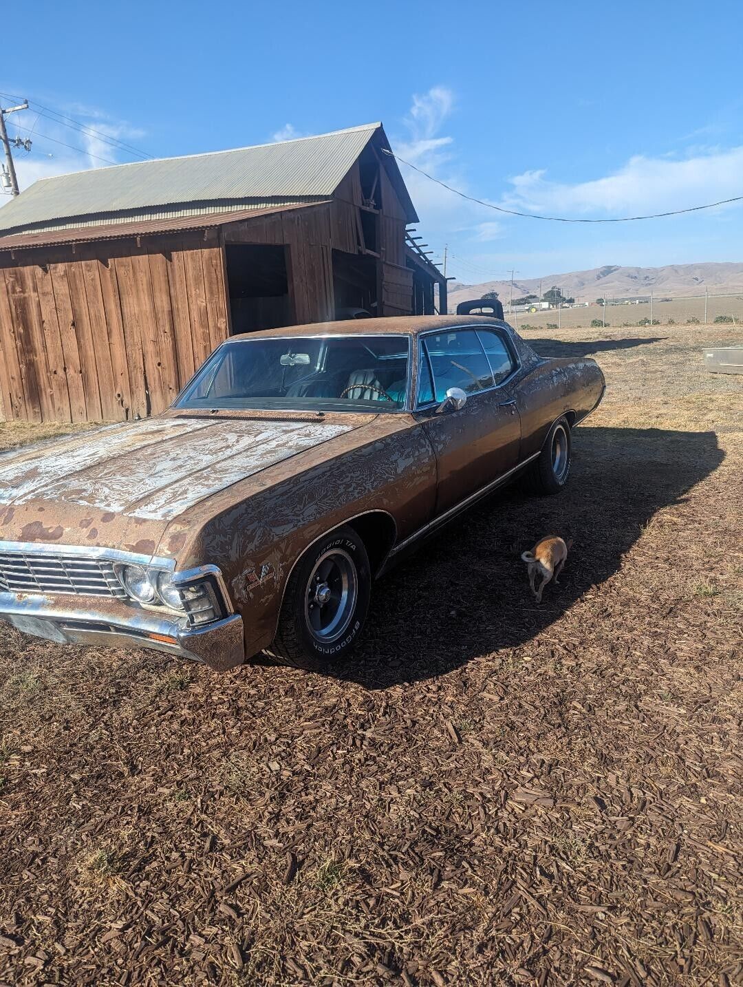 Chevrolet-Hardtop-1967-19