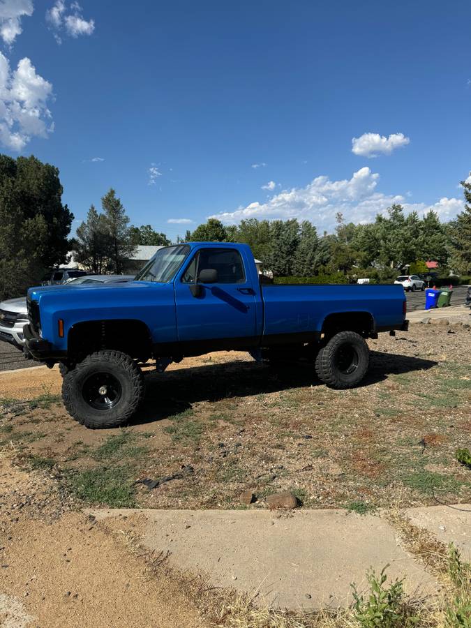 Chevrolet-K10-1976-1