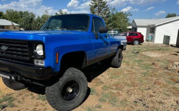 Chevrolet-K10-1976-2