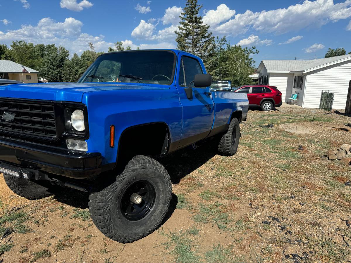 Chevrolet-K10-1976-2