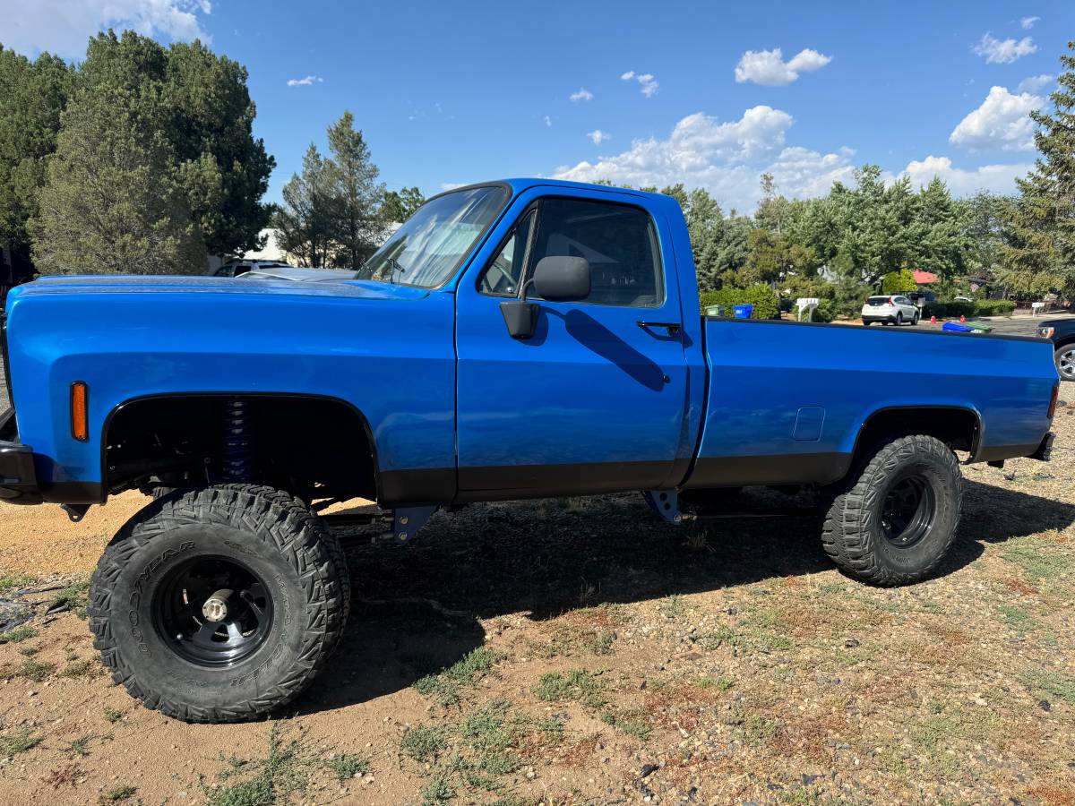 Chevrolet-K10-1976-3