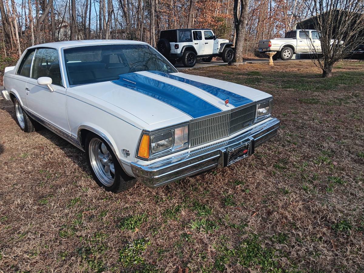 Chevrolet-Malibu-1980-10