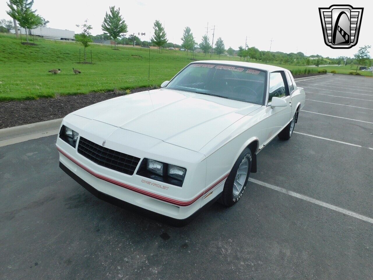 Chevrolet-Monte-Carlo-1987-2