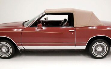 Chevrolet-Monte-Carlo-Cabriolet-1983-1