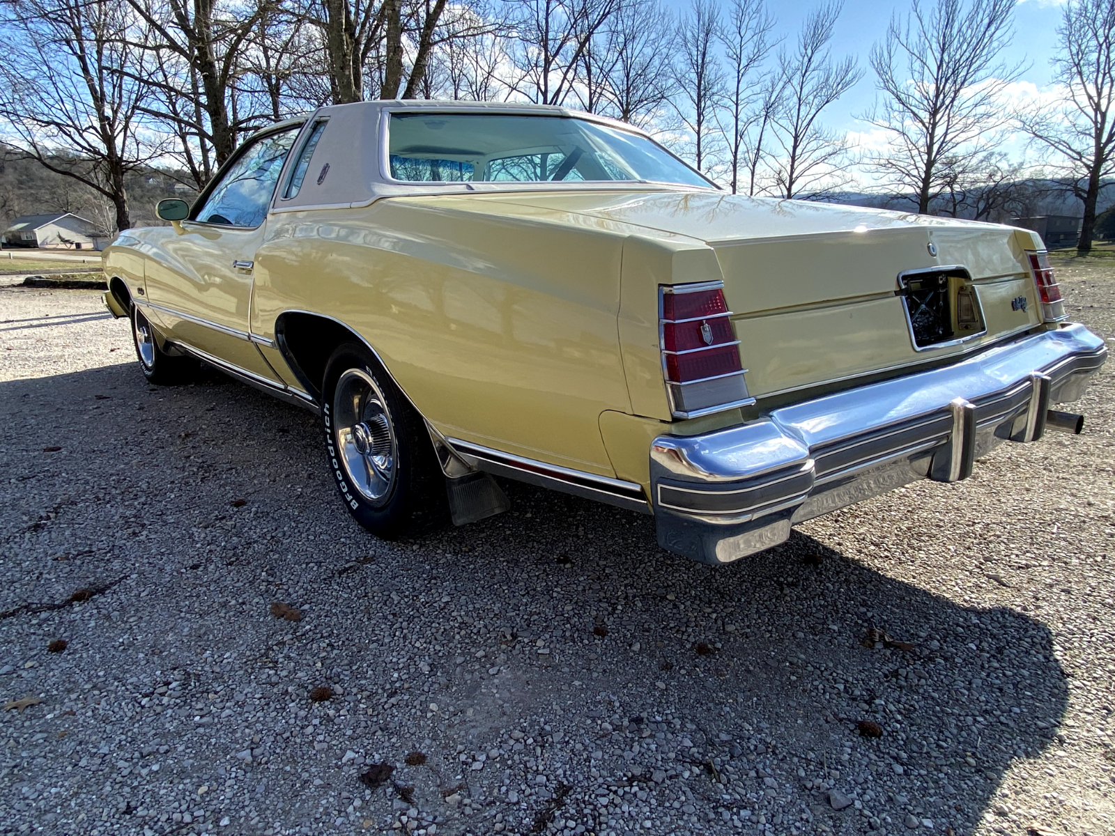 Chevrolet-Monte-Carlo-Coupe-1977-2