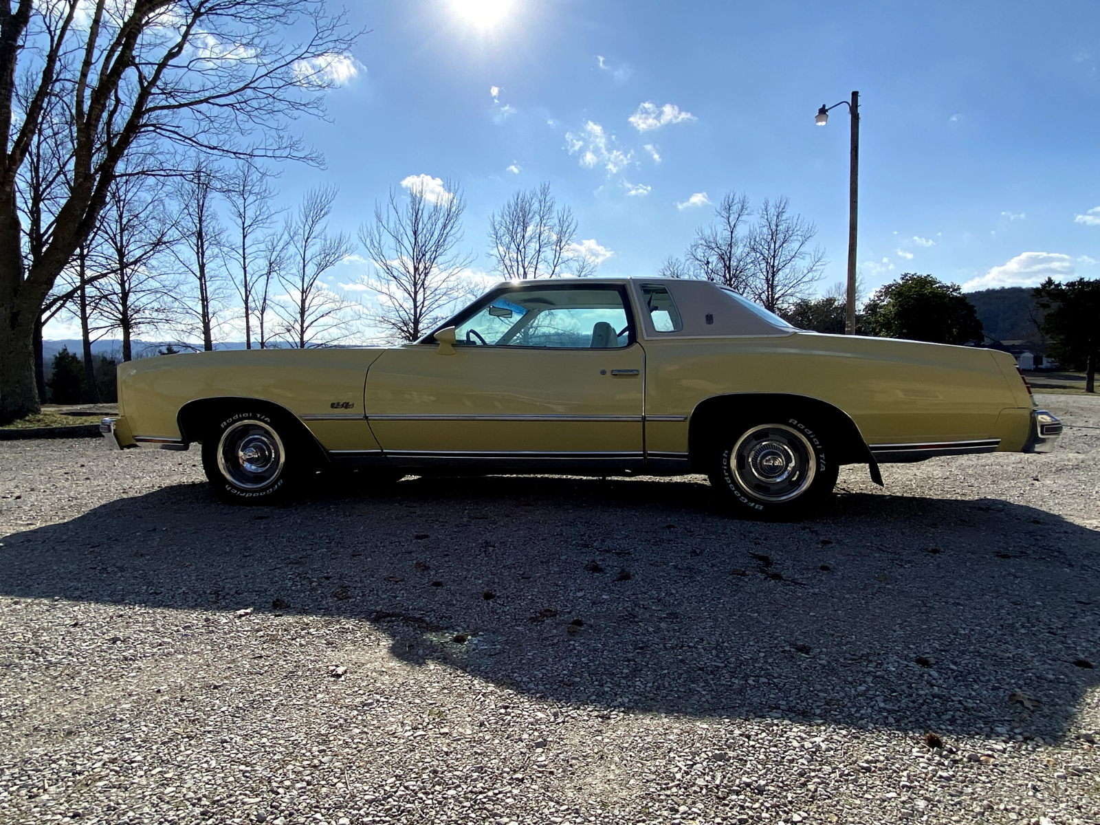 Chevrolet-Monte-Carlo-Coupe-1977-3