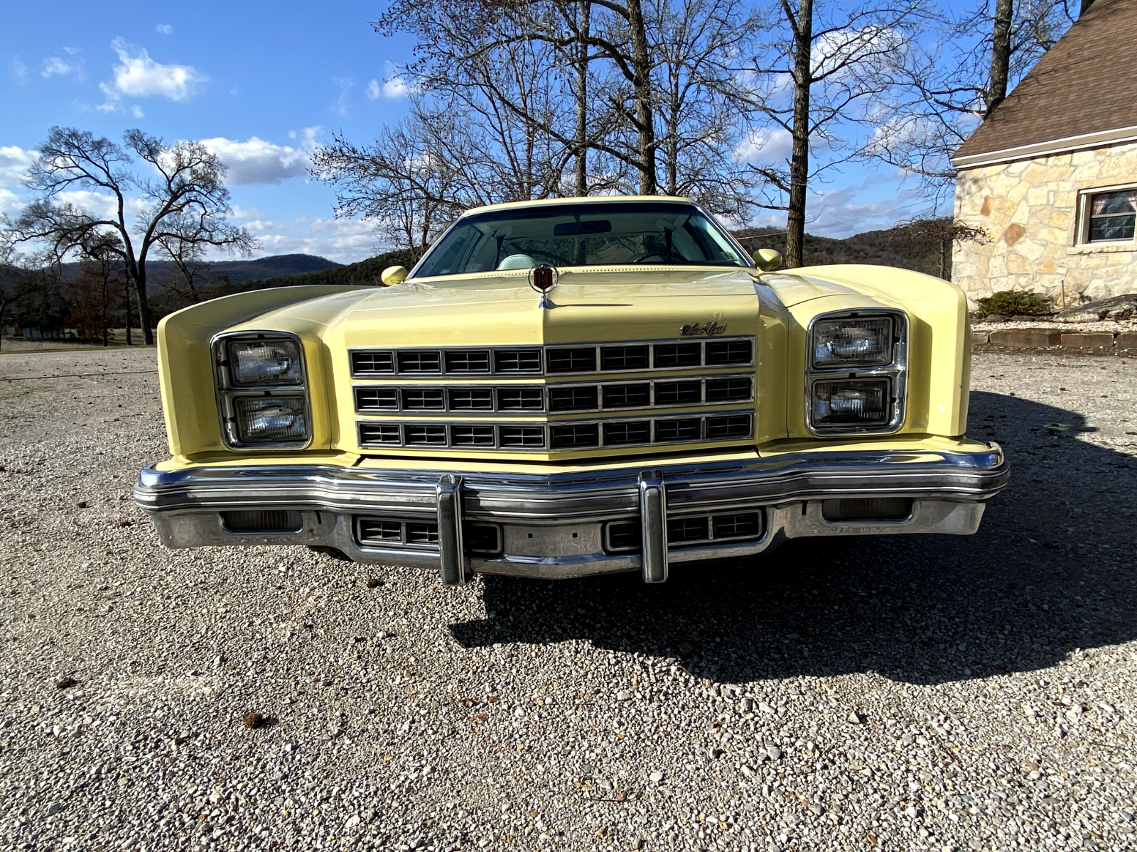 Chevrolet-Monte-Carlo-Coupe-1977-5