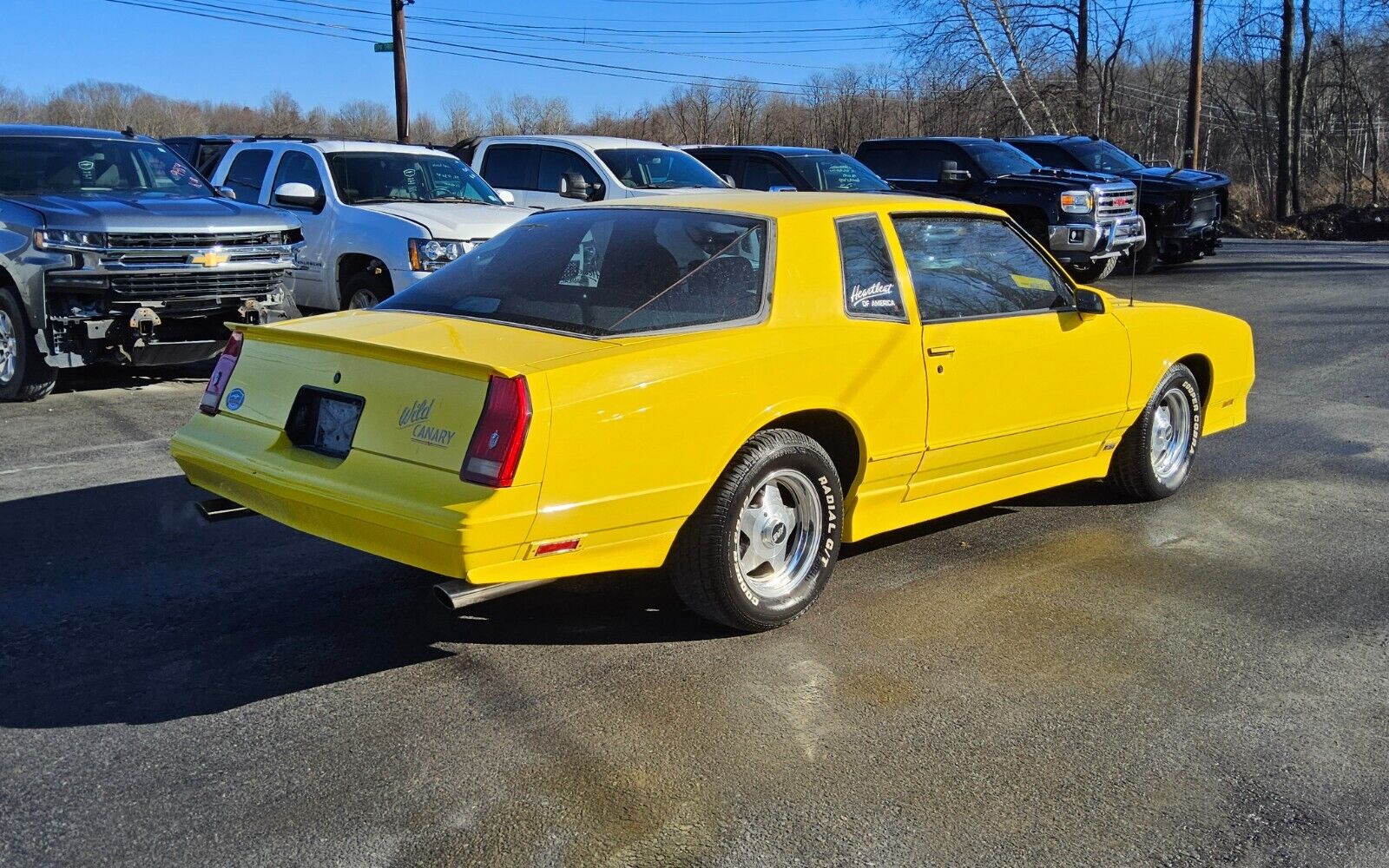 Chevrolet-Monte-Carlo-Coupe-1987-4