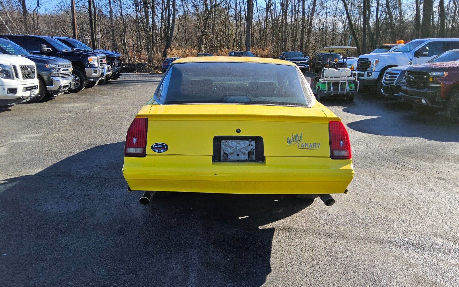 Chevrolet-Monte-Carlo-Coupe-1987-5