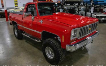 Chevrolet-Other-Pickups-1973-8