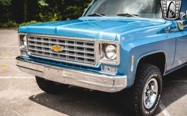 Chevrolet-Other-Pickups-1976-10