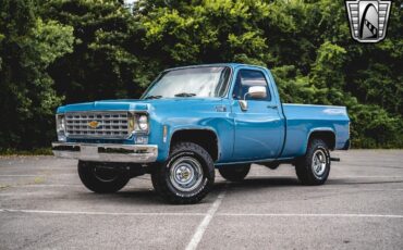 Chevrolet-Other-Pickups-1976-2