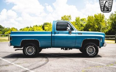 Chevrolet-Other-Pickups-1976-7