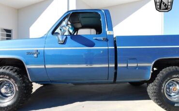 Chevrolet-Other-Pickups-1985-6