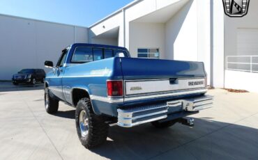 Chevrolet-Other-Pickups-1985-8