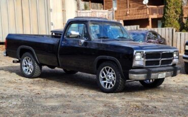 Chevrolet-Other-Pickups-1993-1